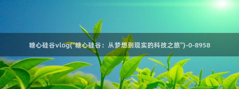 小巨 糖心vlog:糖心硅谷vlog(\