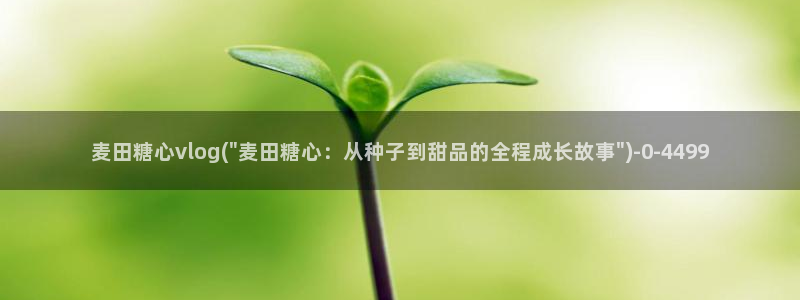 糖心vlog肉丝库水柚子猫:麦田糖心vl